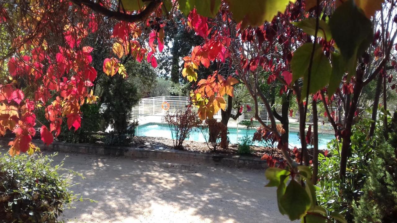 Camping Camping Alquezar Alquézar