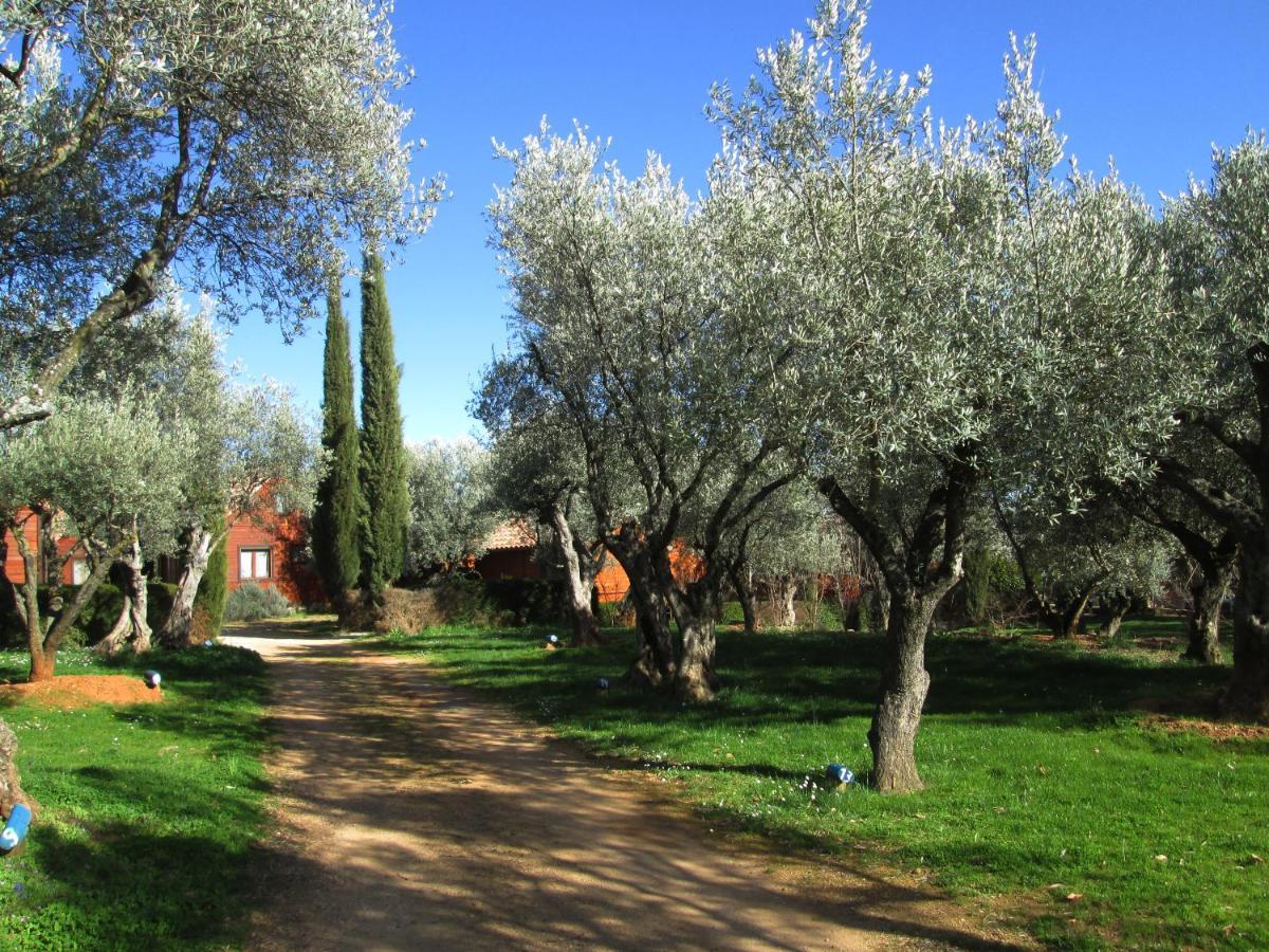Camping Alquezar Campsite