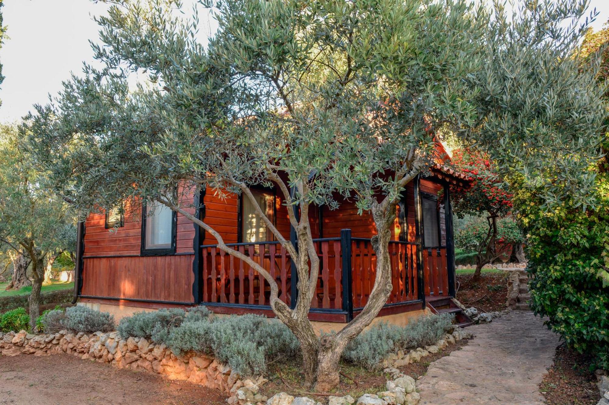 Camping Alquezar Camping *