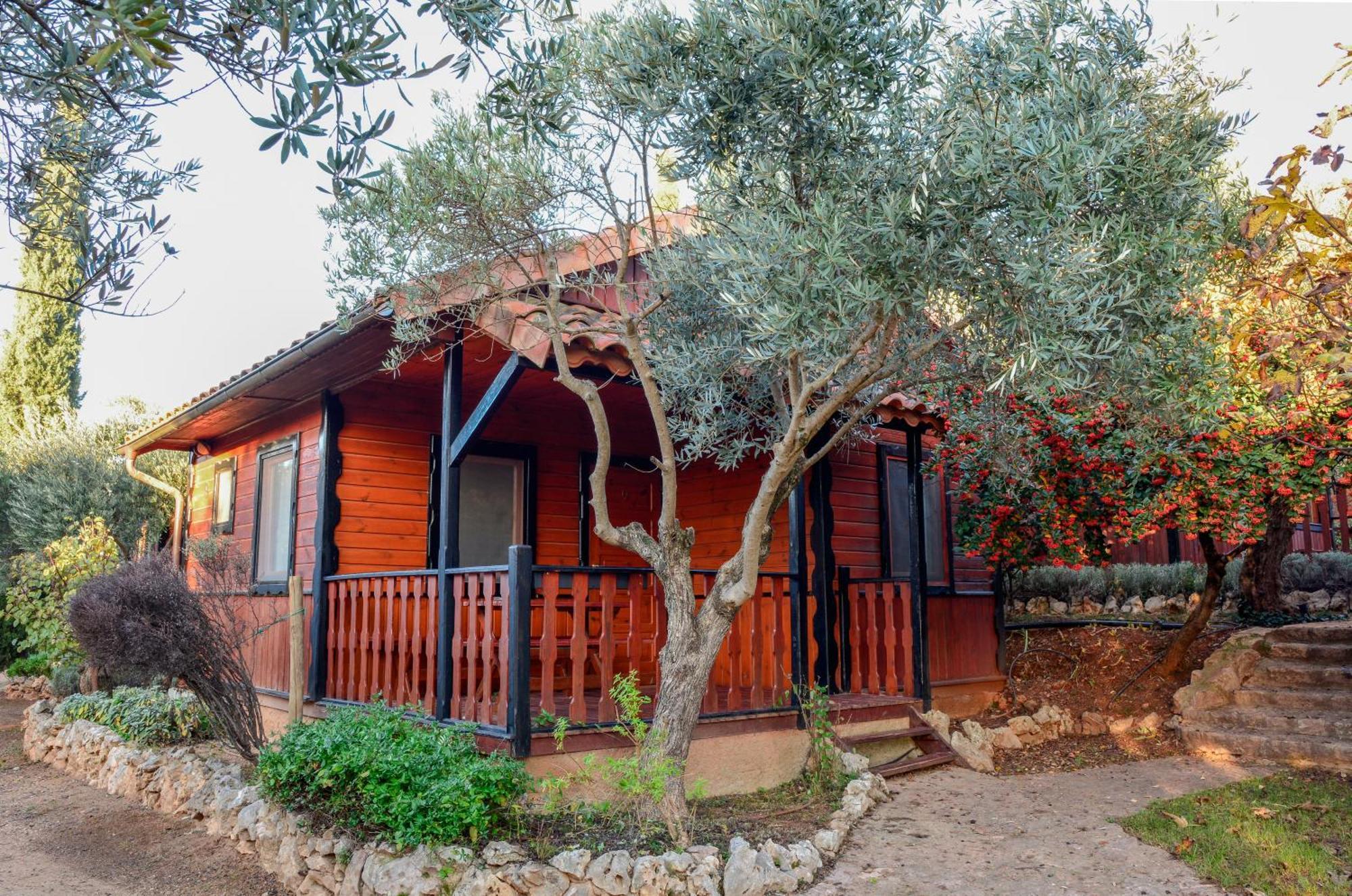 Camping Camping Alquezar *