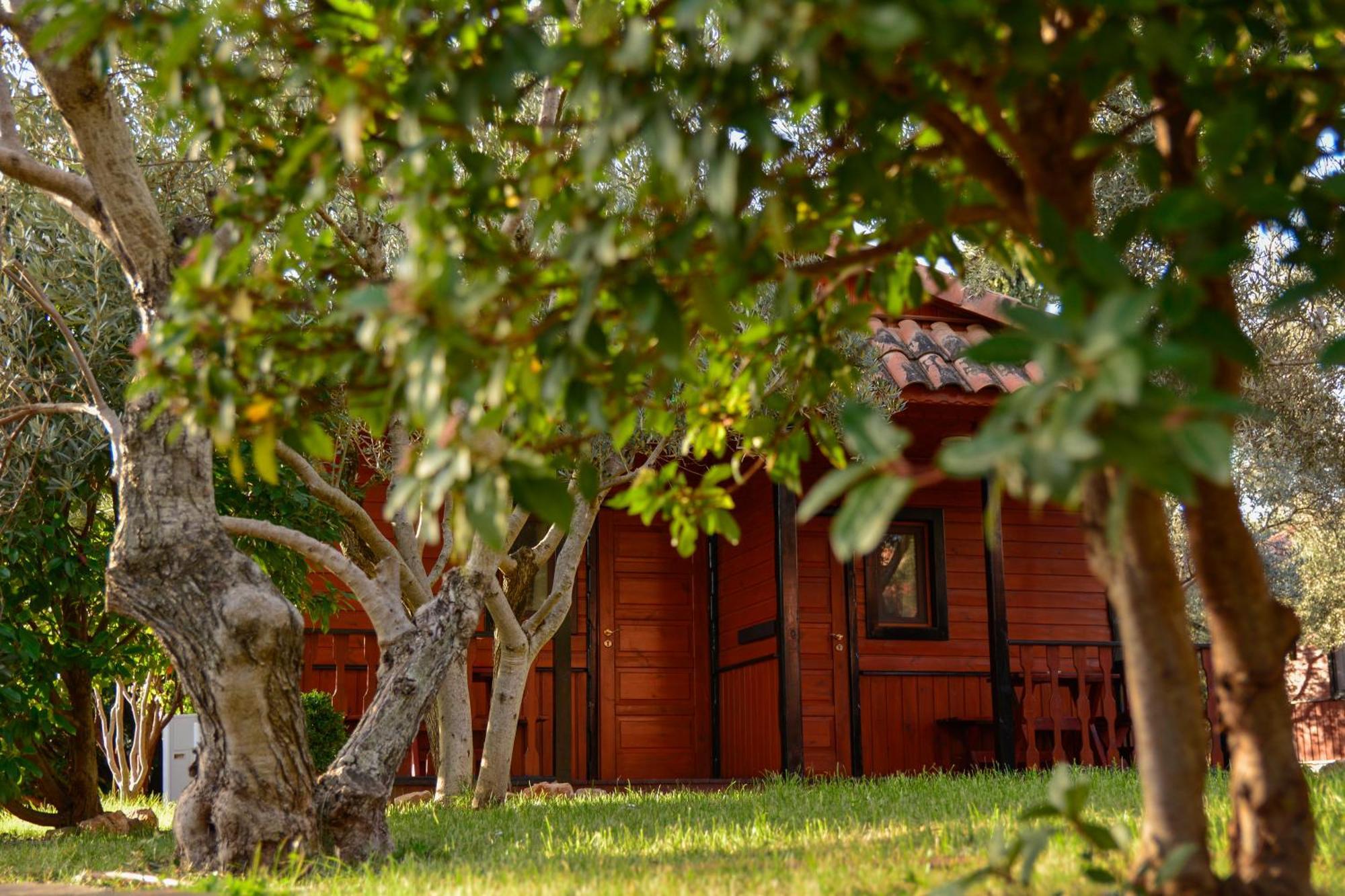 Camping Camping Alquezar *