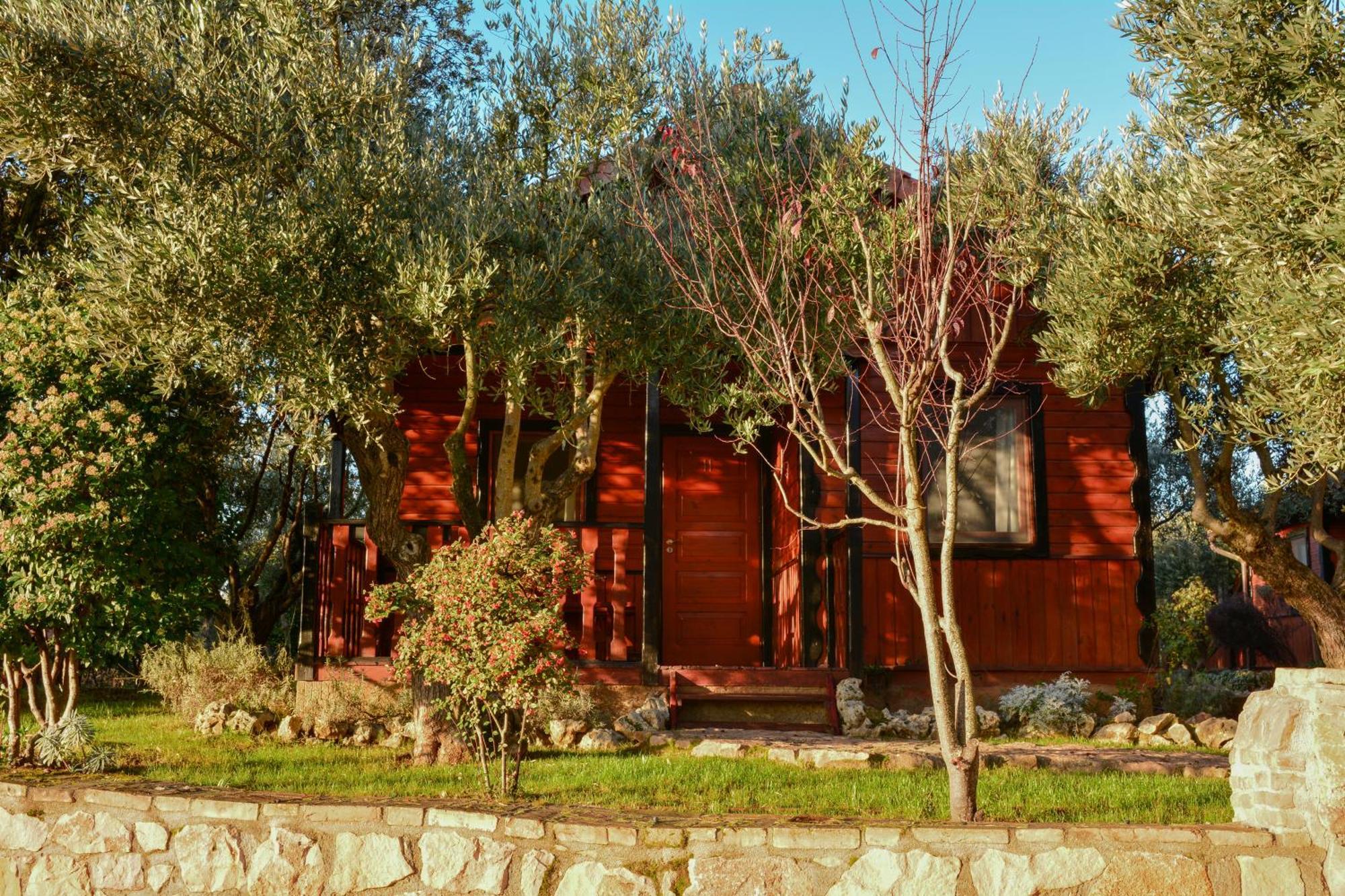 Camping Alquezar Campeggio