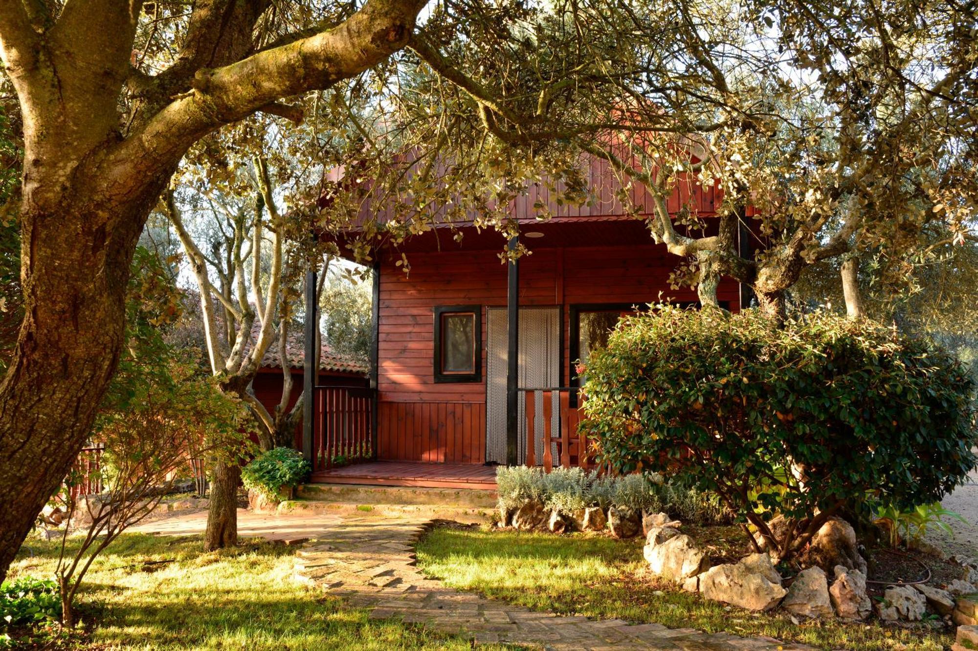 Camping Camping Alquezar *